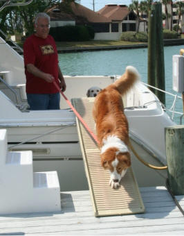 PetSTEP Folding Pet Ramp